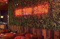 Longmont Welcomes Nana’s Dim Sum and Dumplings, Plus Other New Spots to Check Out