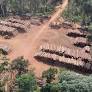 Brazil’s environment minister faces second probe linked to illegal timber
